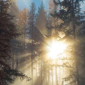 成人午夜福利精品一区二区1280操少妇到高潮
